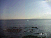 s_PICT0015_thumb.png